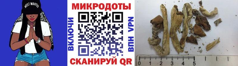 Галлюциногенные грибы Psilocybine cubensis  закладка  Комсомольск 